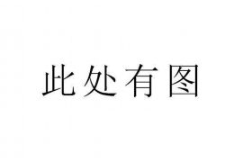 商洛为什么选择专业追讨公司来处理您的债务纠纷？